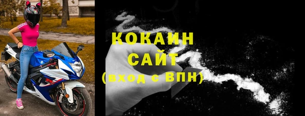 ГАЛЛЮЦИНОГЕННЫЕ ГРИБЫ Новозыбков