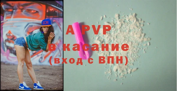 ГАЛЛЮЦИНОГЕННЫЕ ГРИБЫ Новозыбков