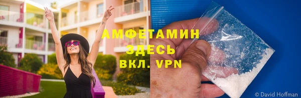 ПСИЛОЦИБИНОВЫЕ ГРИБЫ Нея