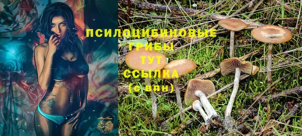 ПСИЛОЦИБИНОВЫЕ ГРИБЫ Нея